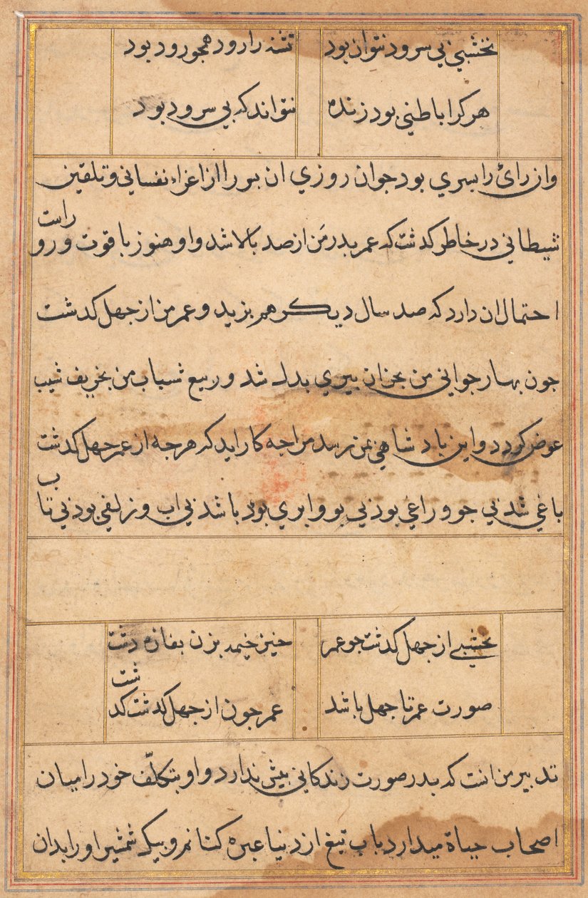 Sida från Tales of a Parrot Tuti-nama: textsida, ca. 1560. av Unbekannt