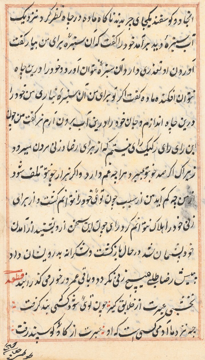 Sida från Tales of a Parrot Tuti-nama: textsida, ca. 1560. av Unbekannt