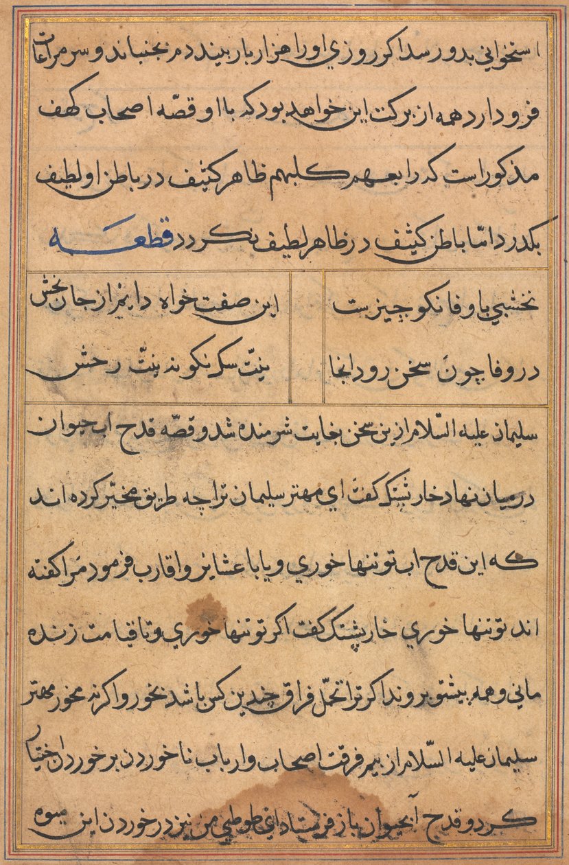 Sida från Tales of a Parrot Tuti-nama: textsida, ca. 1560. av Unbekannt