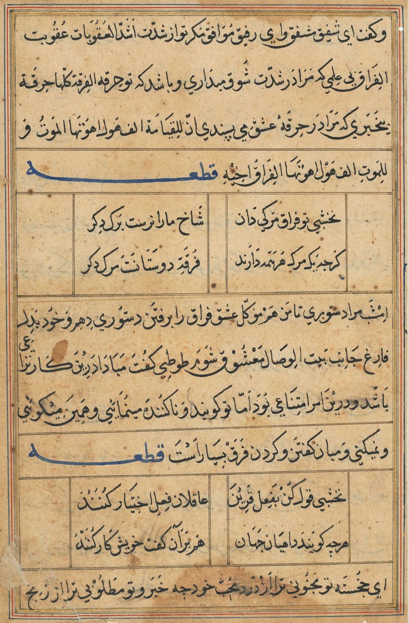 Sida från Tales of a Parrot Tuti-nama: textsida, ca. 1560. av Unbekannt