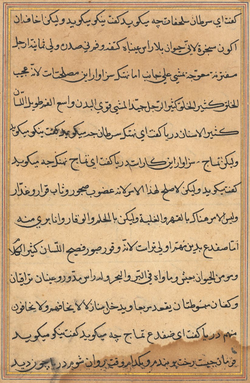 Sida från Tales of a Parrot Tuti-nama: textsida, ca. 1560. av Unbekannt