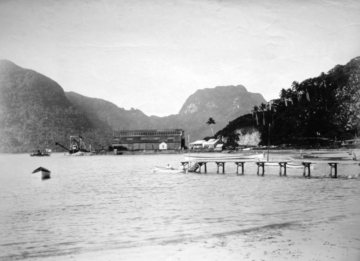 Pago Pago Harbor, på ön Tutuila, Amerikanska Samoa, 1889 av Unbekannt