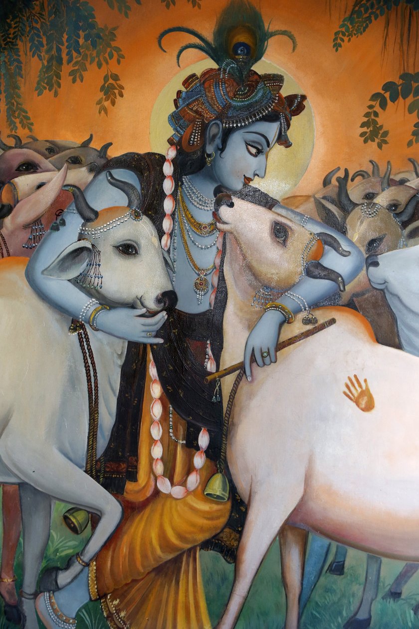 Målning som föreställer den hinduiska guden Krishna som kramar kor. Indien av Unbekannt