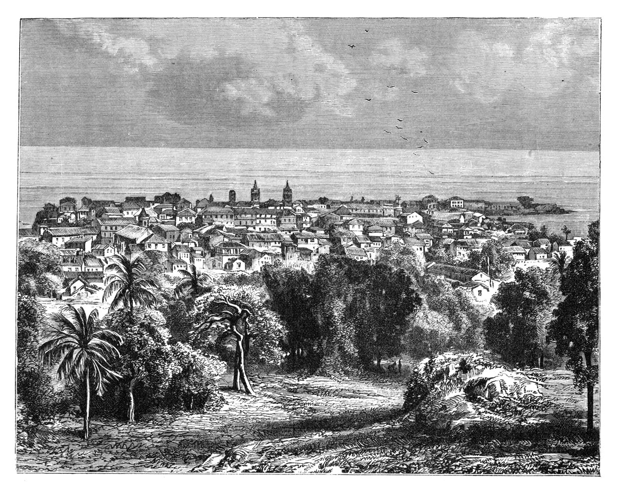 Panama City från Mount Ancon, c1890 av Unbekannt
