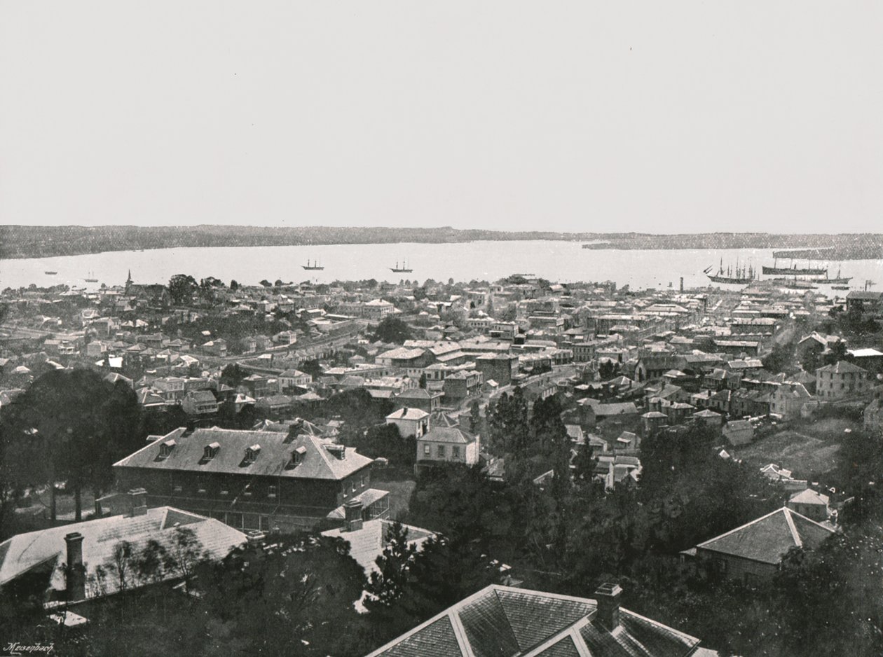 Panoramautsikt från kullarna, Auckland, Nya Zeeland, 1895. av Unbekannt