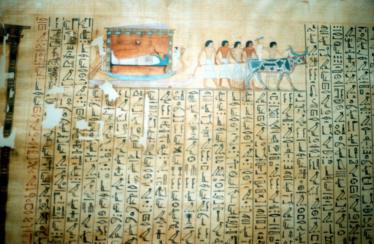 Papyrus från en forntida egyptisk dödbok av Unbekannt