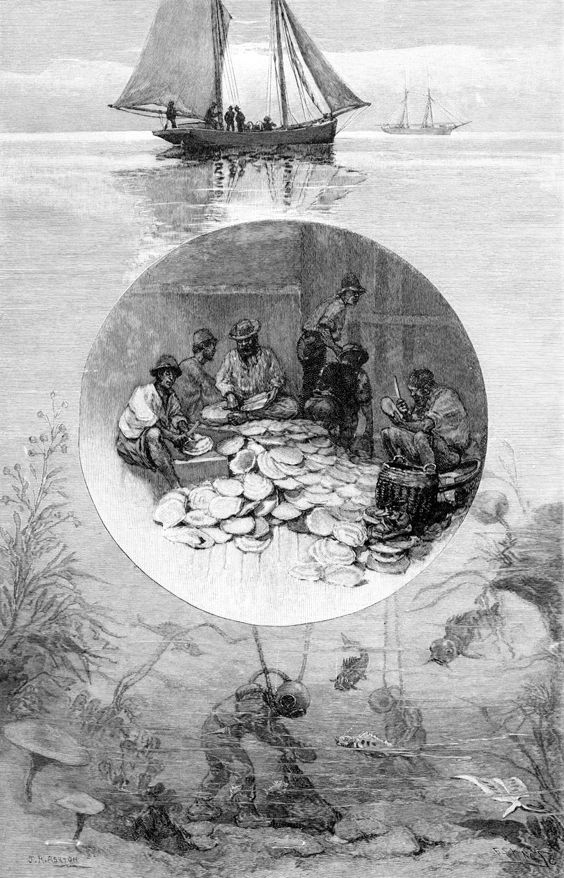Pearl Fishery, Torres Strait, Australien, 1886 av Unbekannt