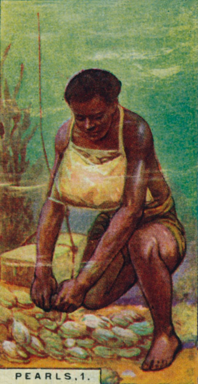 Pärlor 1. Native Diver at Work, Ceylon, 1928 av Unbekannt