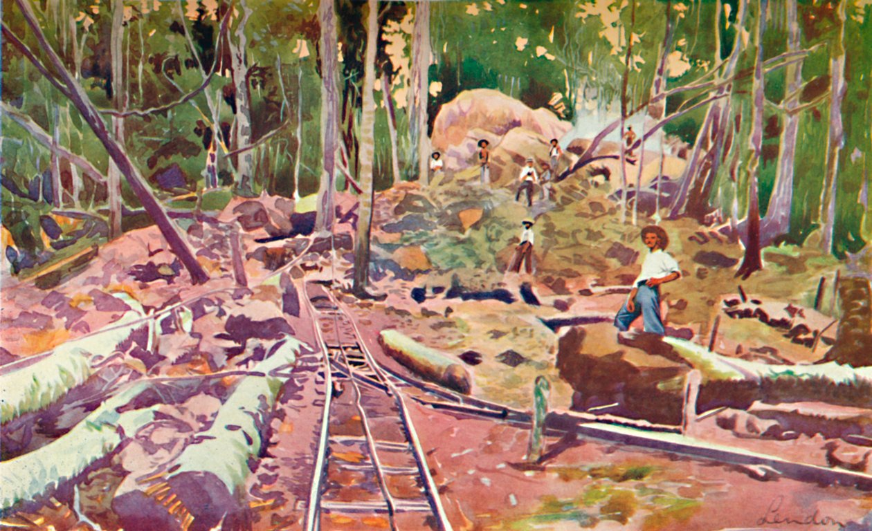 Penetrerar Amazonasskogen - Madeira-Mamoré järnvägen, 1914 av Unbekannt