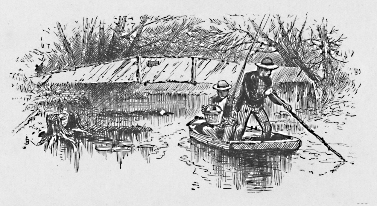 Abborre-fiske på sjön, 1883 av Unbekannt