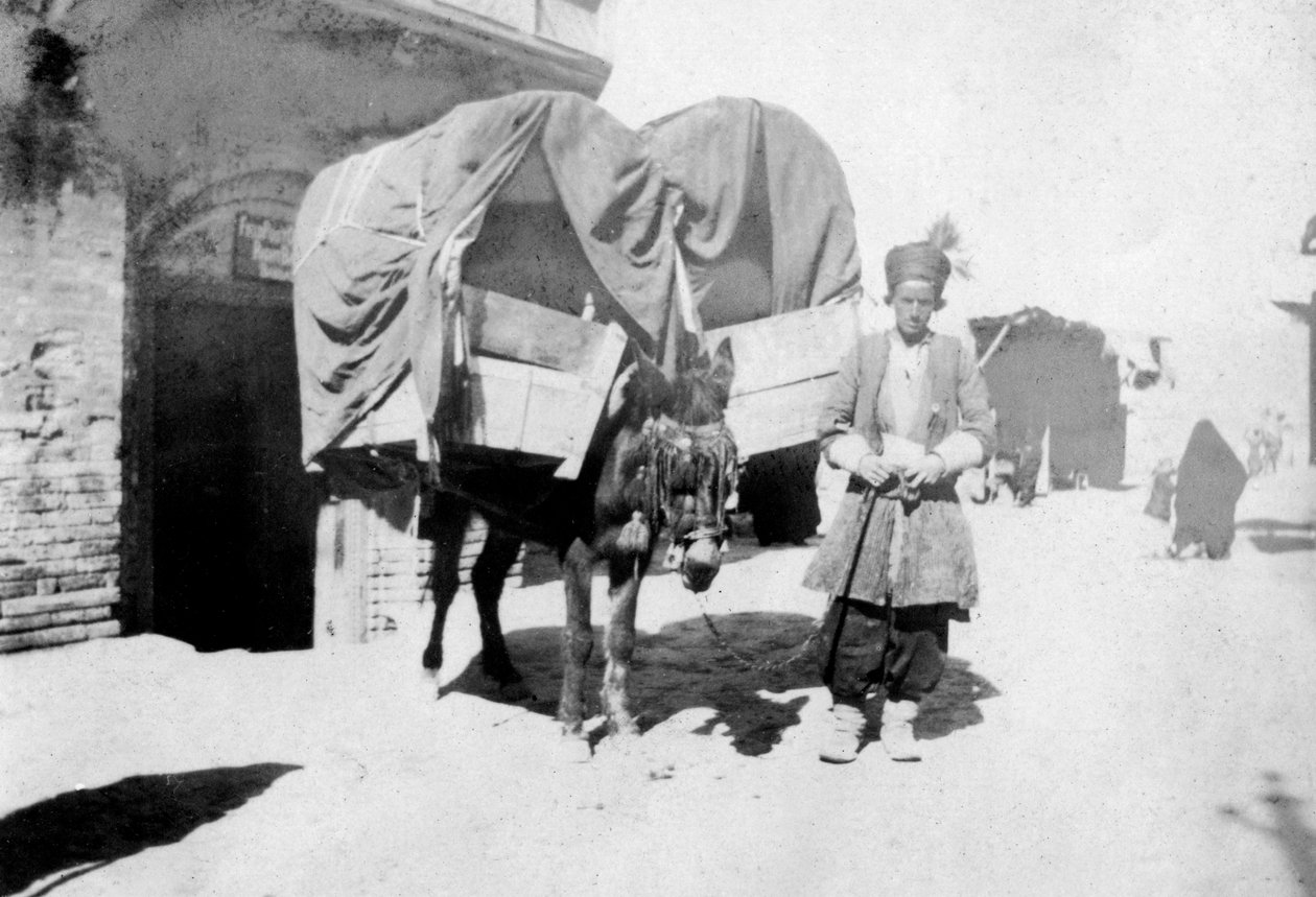Persisk åsnetransport, Bagdad, Irak, 1917-1919 av Unbekannt