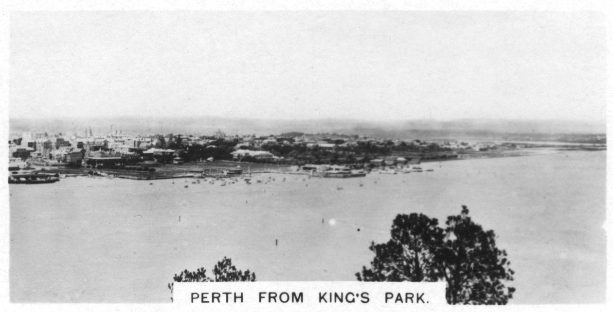 Perth från Kings Park, Western Australia, 1928 av Unbekannt