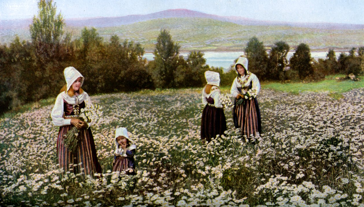 Plocka blommor på en äng nära Leksand, Sverige, c1923 av Unbekannt