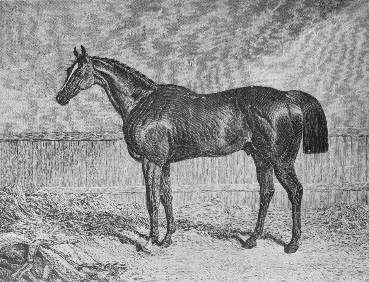 Befullmäktigad, 1831-1854, 1911 av Unbekannt