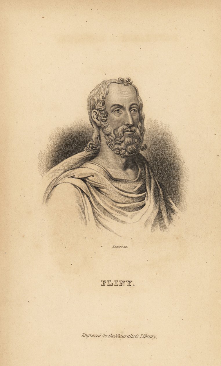 Plinius den äldre, Gaius Plinius Secundus, romersk författare, naturforskare och naturfilosof, AD23-79 av Unbekannt