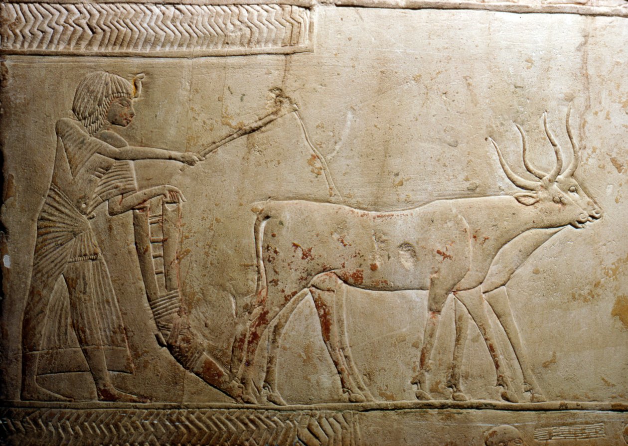 Plöjning från en egyptisk stel, 18:e dynastin, 1332-1323 f.Kr. av Unbekannt