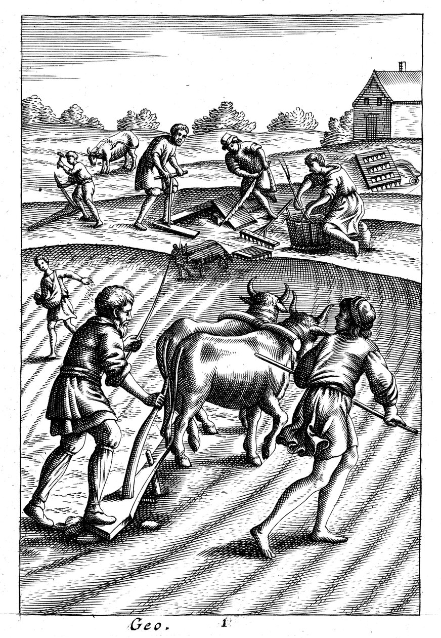 Plöjning med oxar, sådd av utsäde och harvning, 1700-tal av Unbekannt