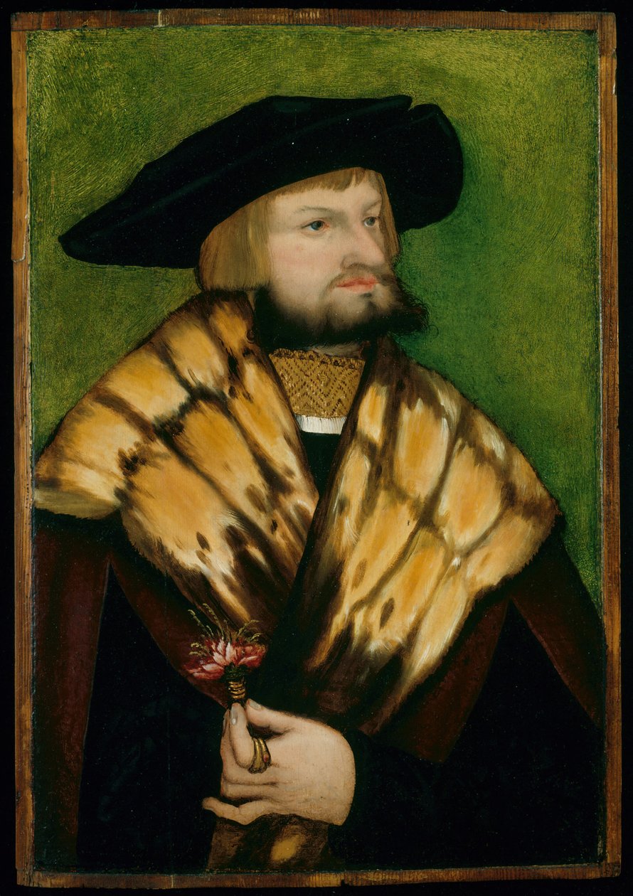 Porträtt av Leonhard Fuchs, 1525. av Unbekannt