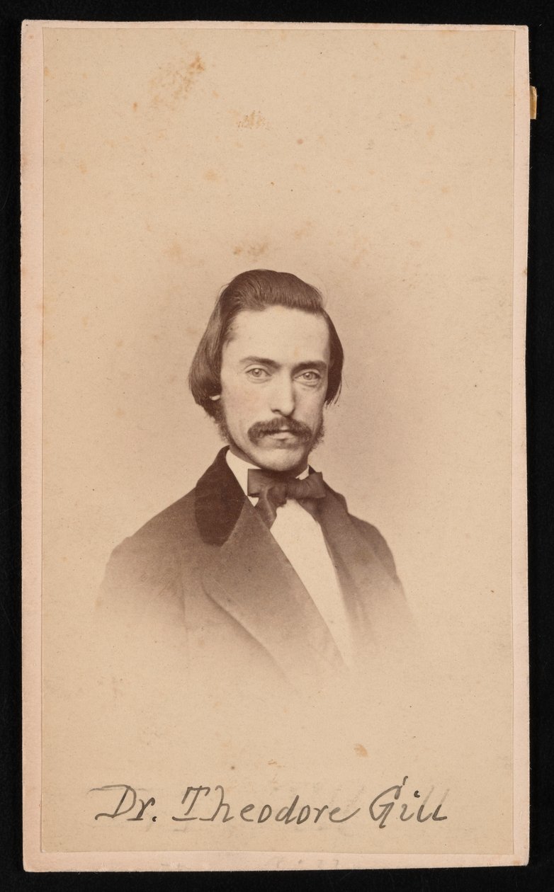 Porträtt av Theodore Nicholas Gill 1837-1914, cirka 1860-talet. av Unbekannt
