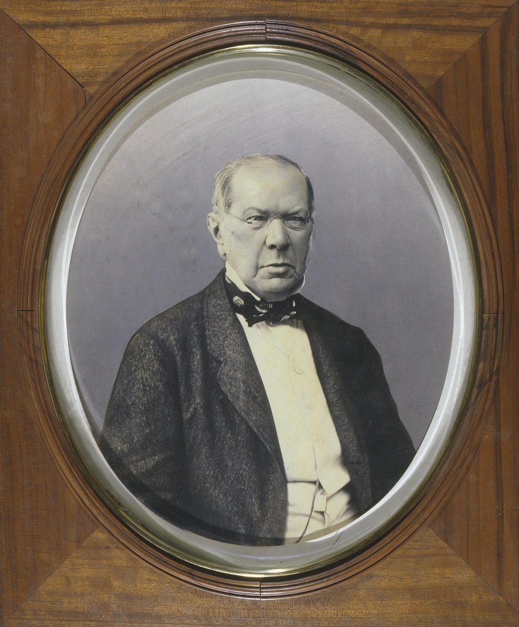 Porträtt av poeten prins Pyotr A. Vyazemsky 1792-1878, 1860-1870-talen av Unbekannt