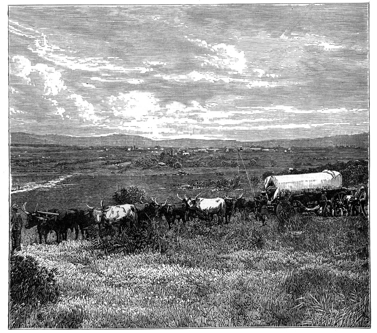 Pretoria, Sydafrika, c1890 av Unbekannt