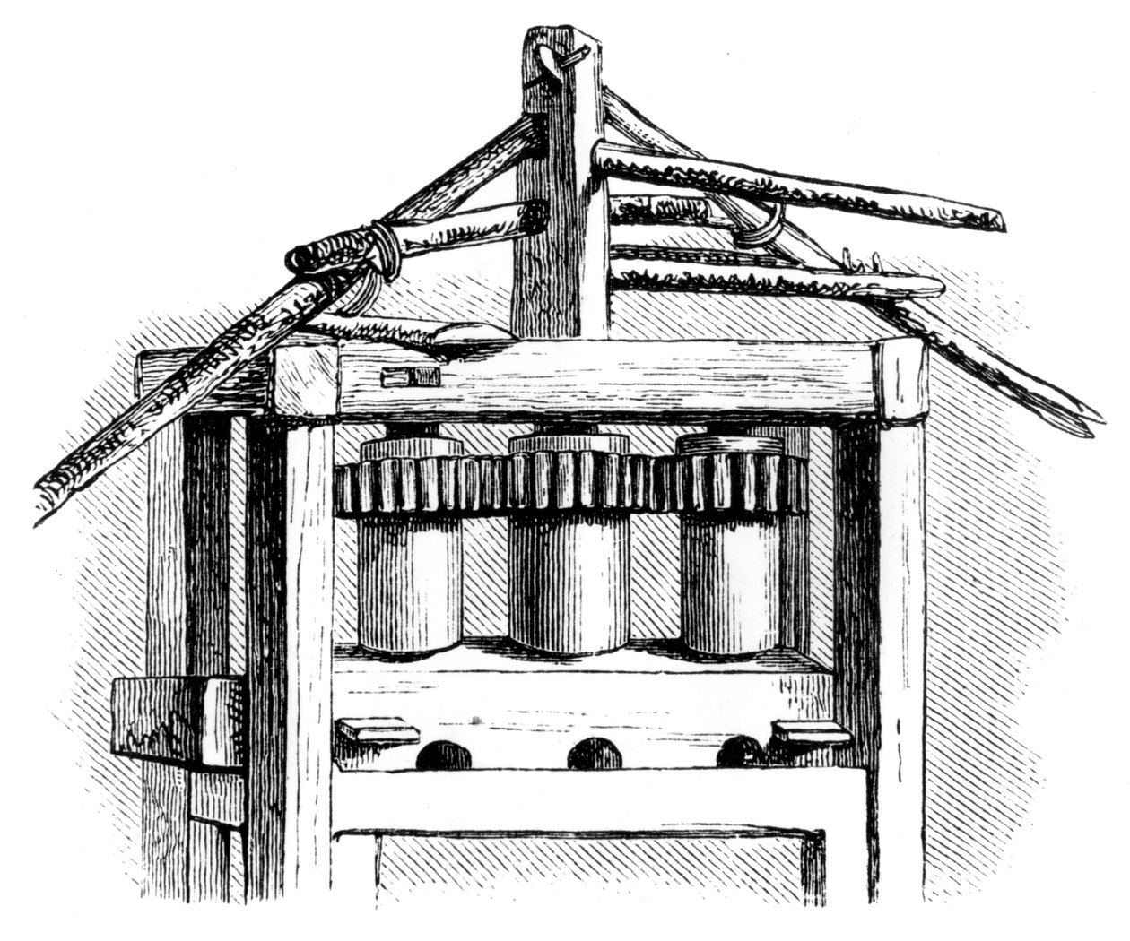 Primitivt sockerbruk, Santo Domingo, 1873 av Unbekannt