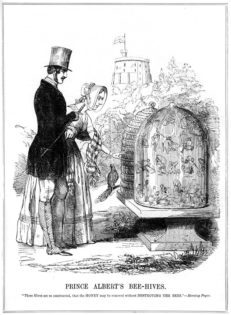 Prince Alberts bikupor, 1843 av Unbekannt