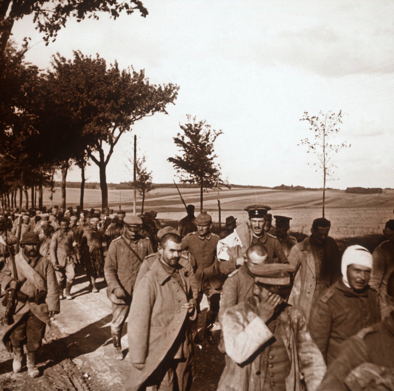 Fångar, Champagne, norra Frankrike, c1914-c1918 av Unbekannt