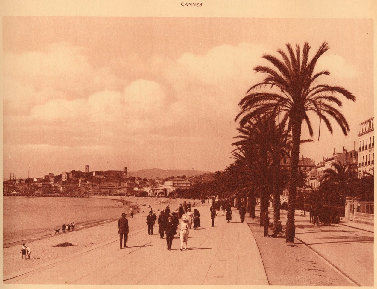 Promenade de la Croisette och Mont Chevalier, Cannes, 1930. av Unbekannt