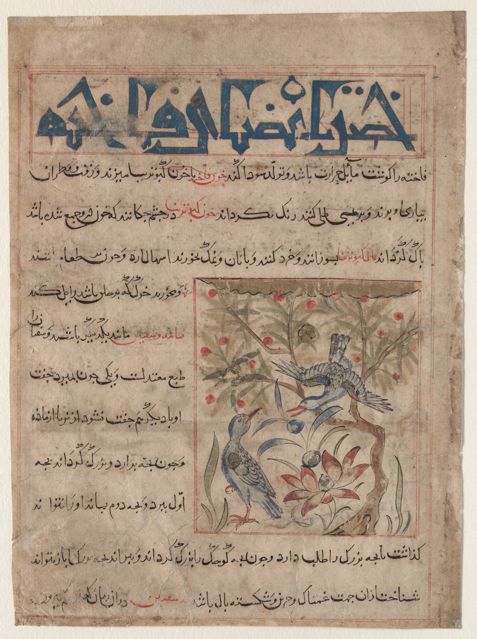 Egenskaper av Ringdoves recto, Om fördelarna med vaktar verso..., c. 1300. av Unbekannt