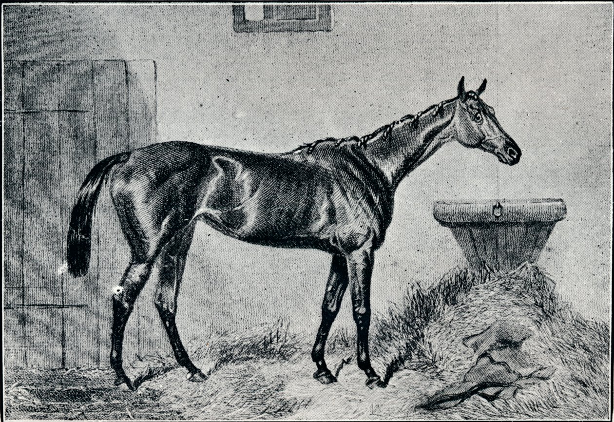 Drottning Bertha, 1800-talet, 1911 av Unbekannt
