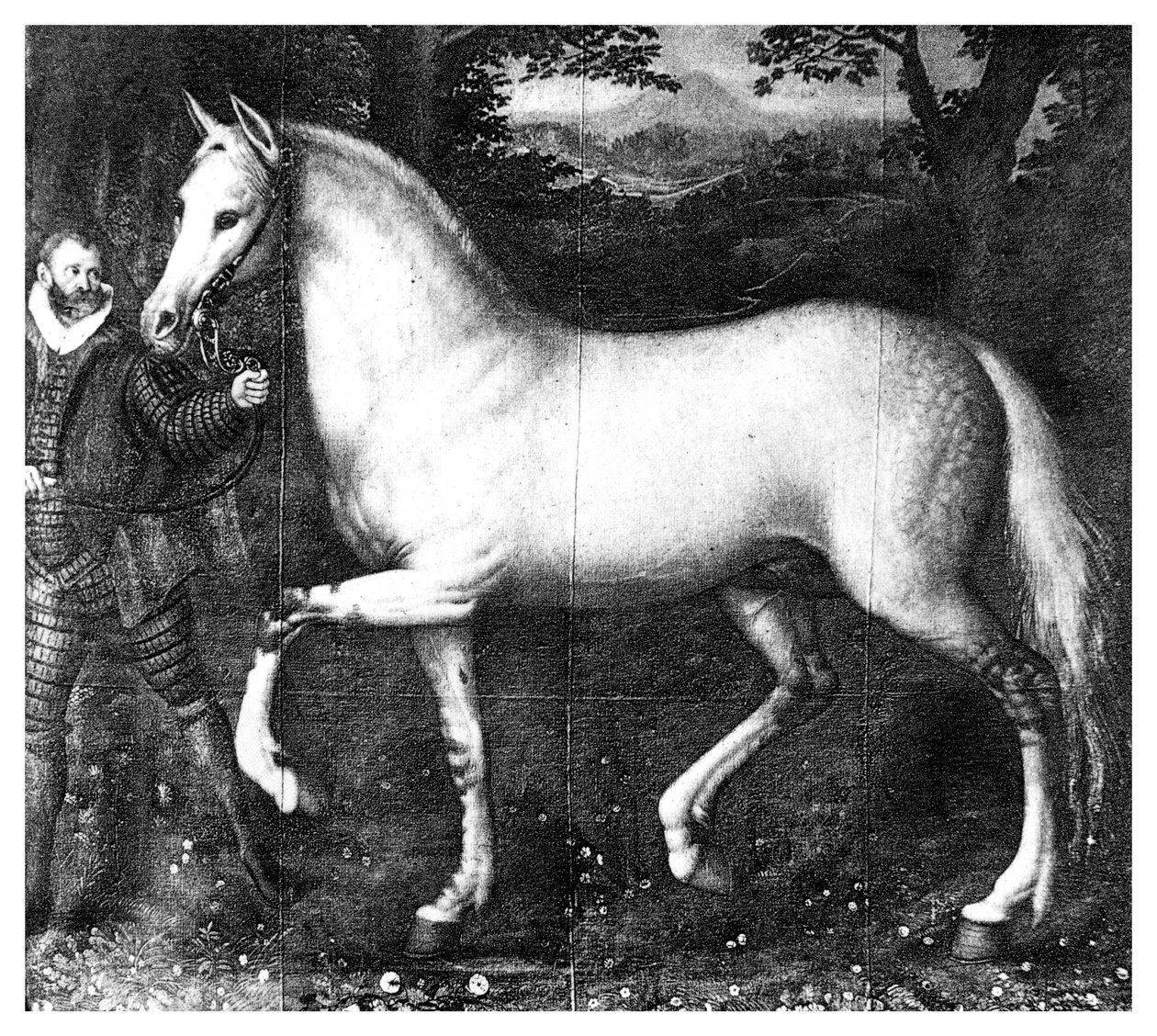 Drottning Elizabeth är häst, 1896 av Unbekannt