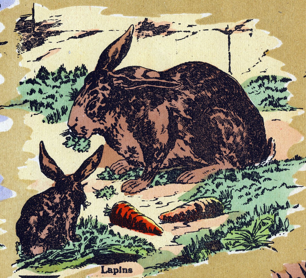 Kaniner och morötter. Illustrerat alfabet. Bilder återförenades i Jarville-Nancy, början av 1900-talet. Mått: 40 x 29 cm. Litografi på en bistre bakgrund av Unbekannt