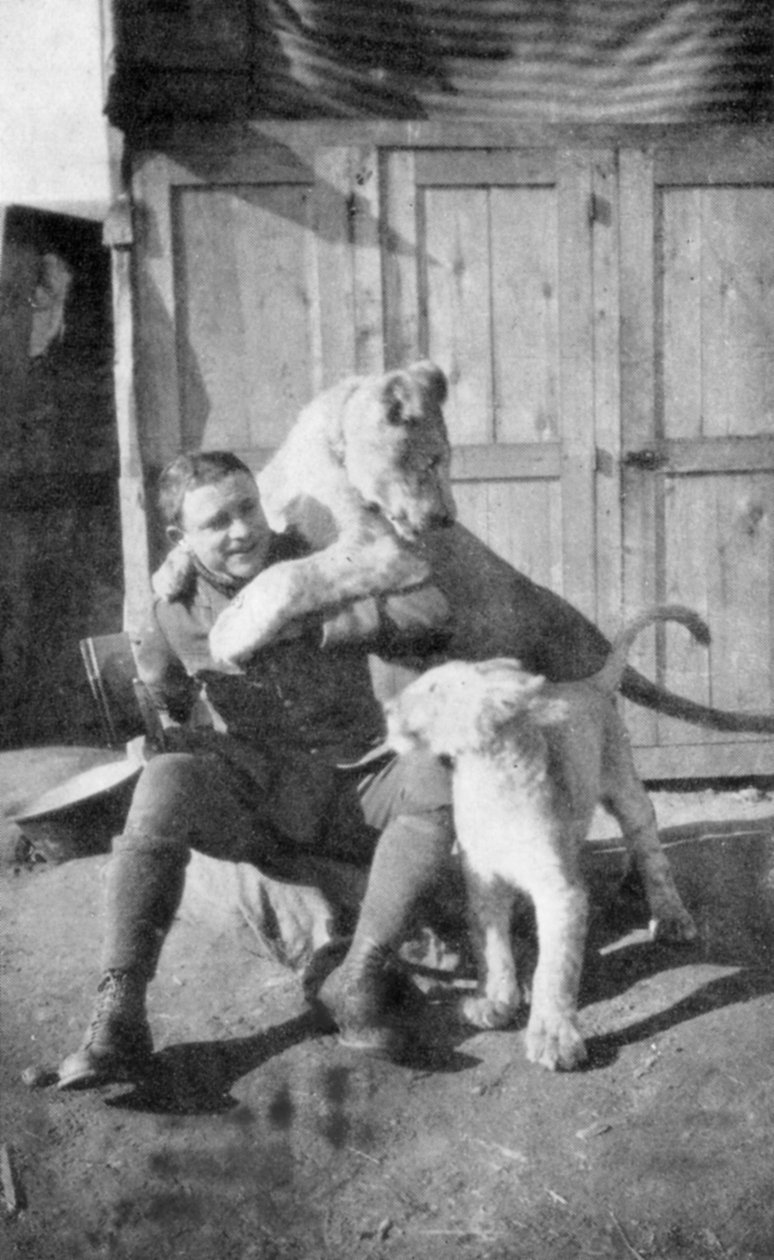 Raoul Lufbery, fransk-amerikansk stridspilot och flygande ess under första världskriget, 1917 av Unbekannt
