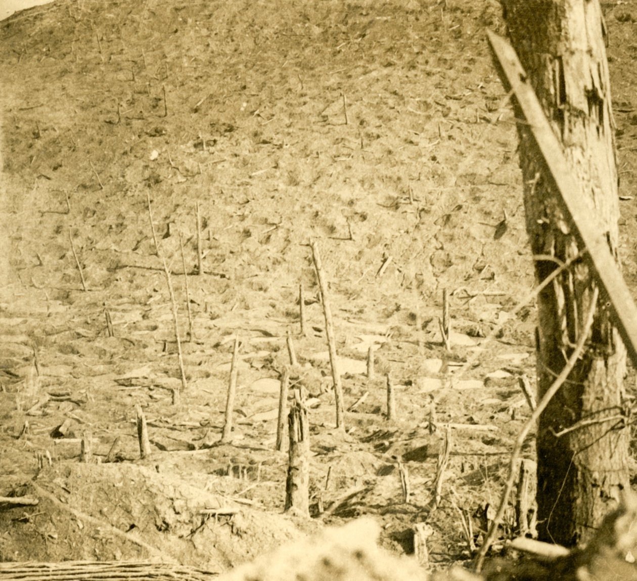 Ravinen vid Les Éparges, norra Frankrike, c1914-c1918. av Unbekannt