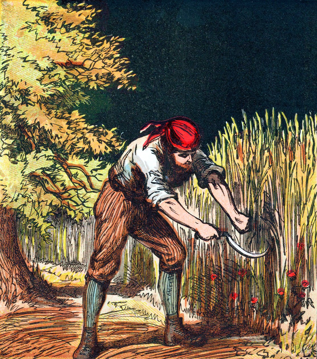 Reaper börjar skära vete med en skära, 1867 av Unbekannt