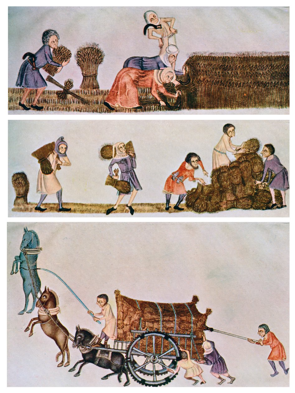 Skörda, bära och köra, c1300-1340, c1900-1920 av Unbekannt
