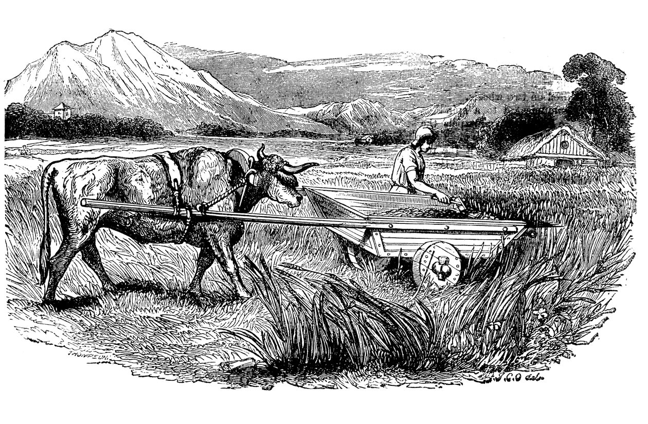 Rekonstruktion av romersk skördevagn, enligt beskrivning av Plinius, Gravyr, 1860 av Unbekannt