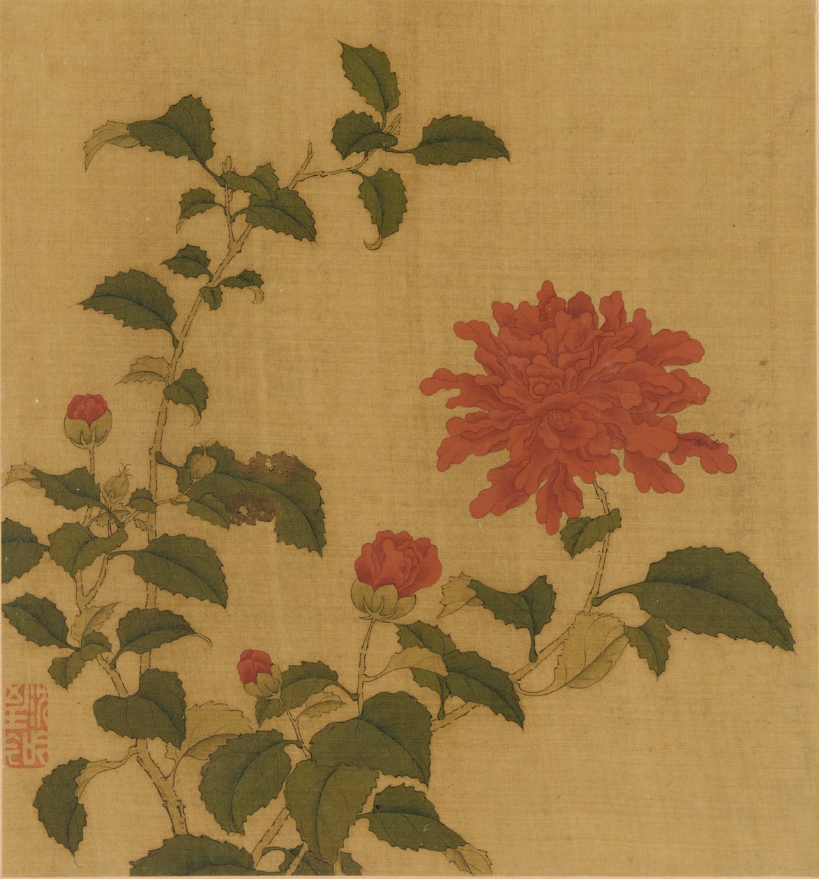 Röd pion, Qingdynastin, 1700-talet. av Unbekannt