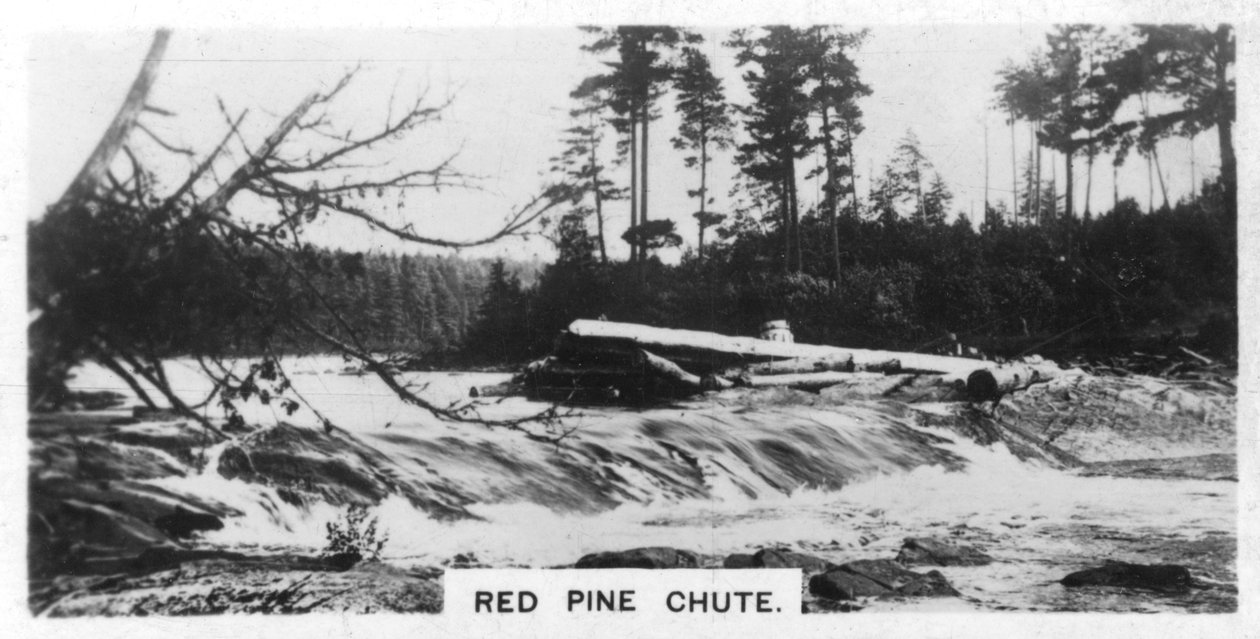 Red Pine Chute, Kanada, c1920-talet av Unbekannt