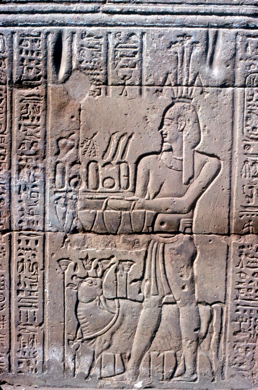 Relief av Hapi Hapy Nilens gud i översvämningen, Khnumtemplet, ptolemaiska och romerska perioder av Unbekannt
