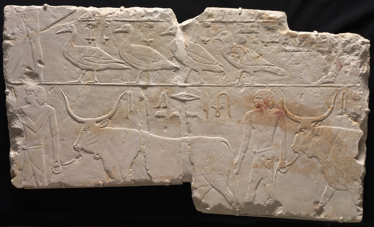 Relief av män som tar med fåglar och boskap, c. 2311-2281 f.Kr. av Unbekannt
