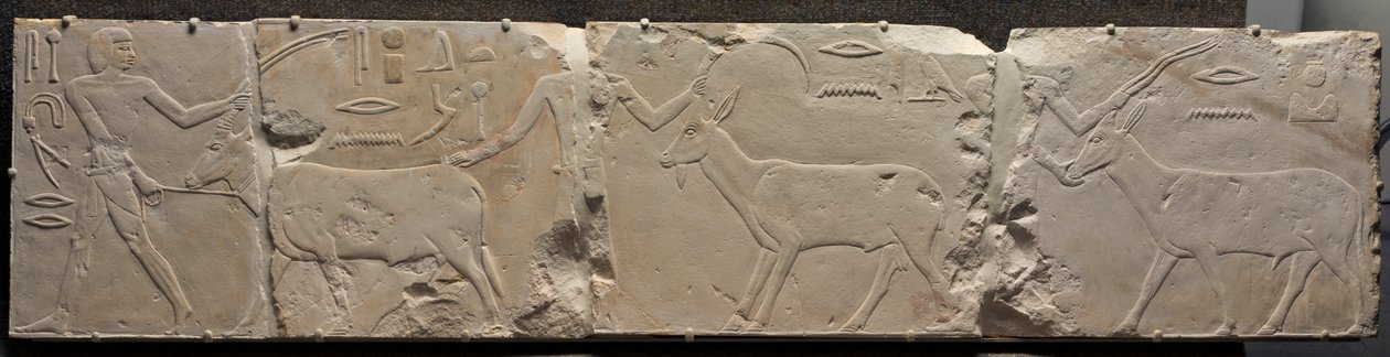 Relief av män som tar med ökendjur, ca. 2311-2281 f.Kr. av Unbekannt