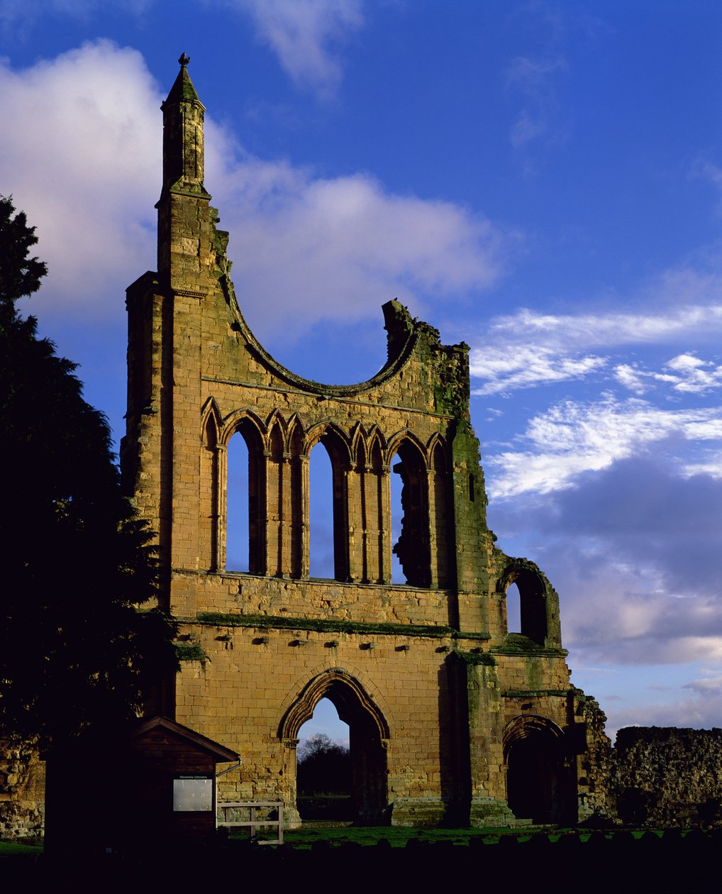 Rester av fasaden, Byland Abbey, North Yorkshire (foto) av Unbekannt