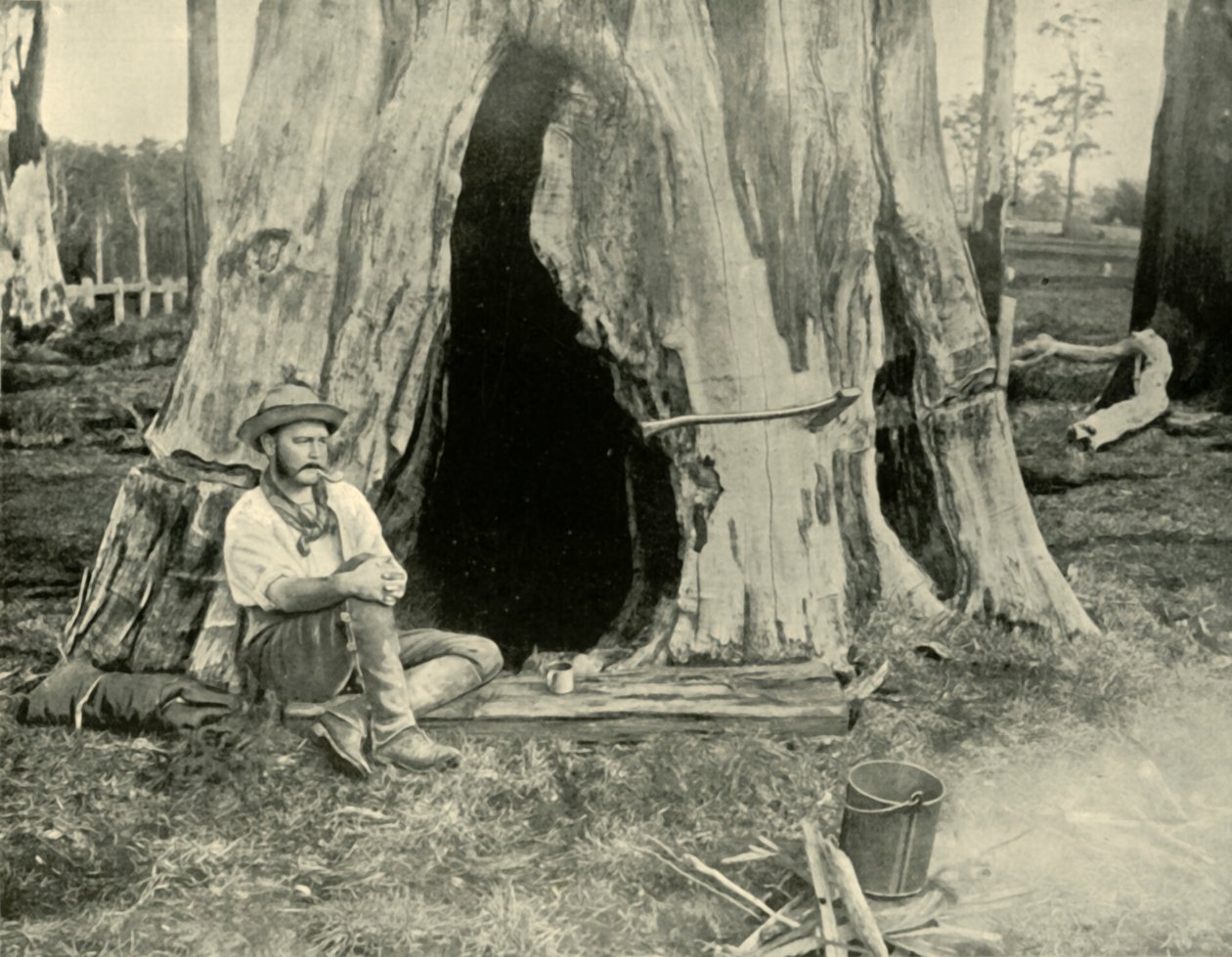 Vila, 1901. av Unbekannt