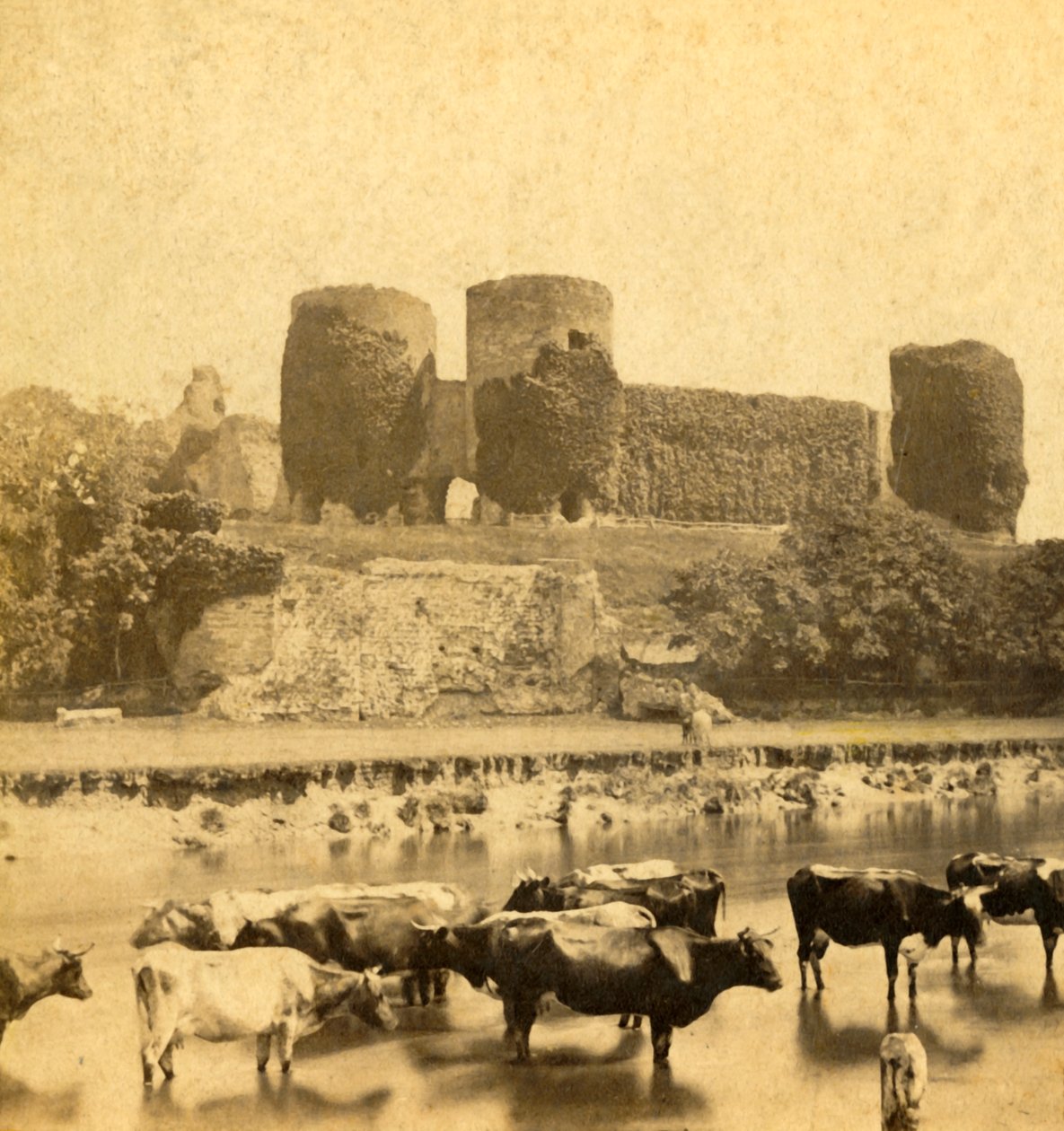 Rhuddlan - Slott från floden, c1900. av Unbekannt