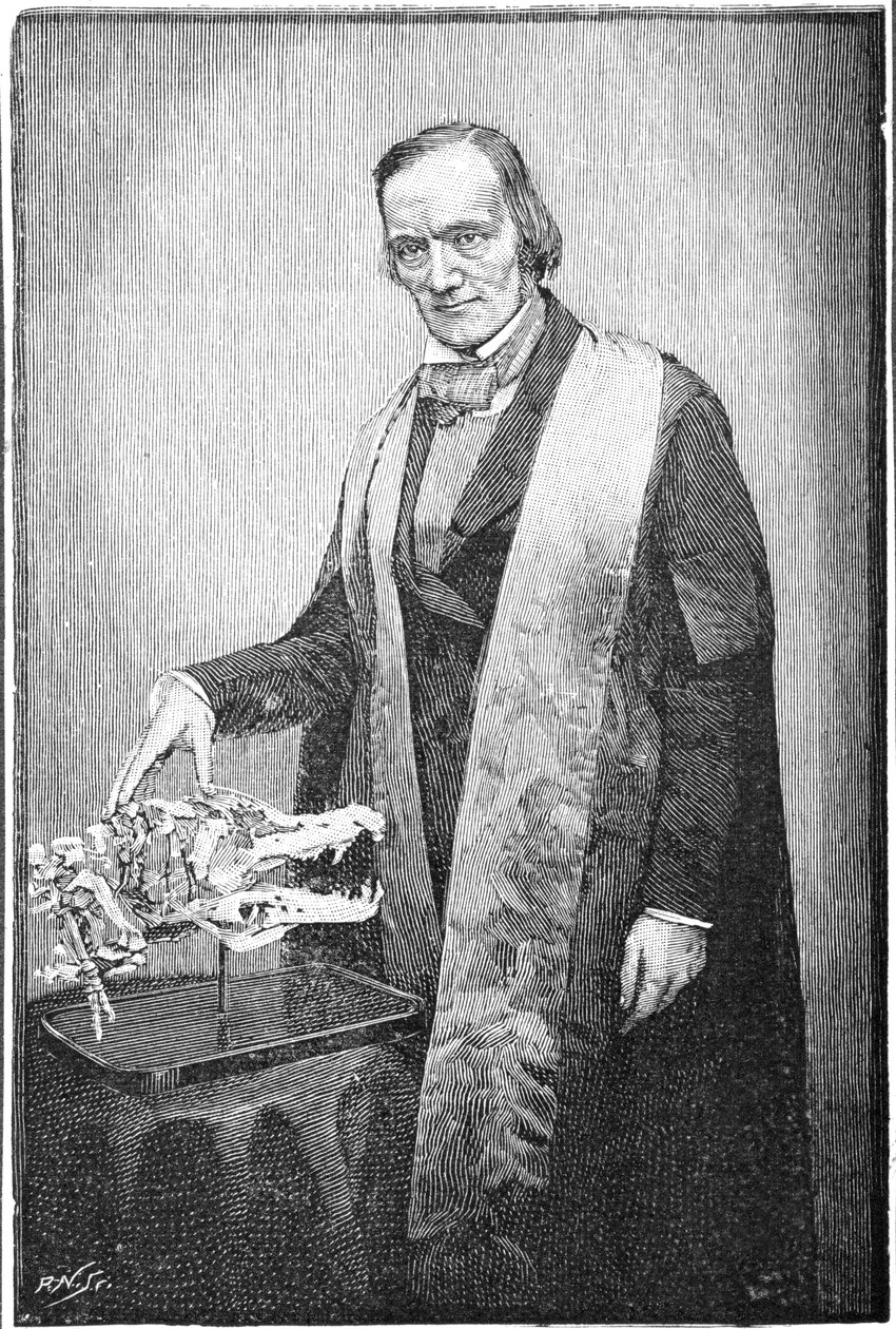 Richard Owen, brittisk naturforskare, c1856 1891 av Unbekannt