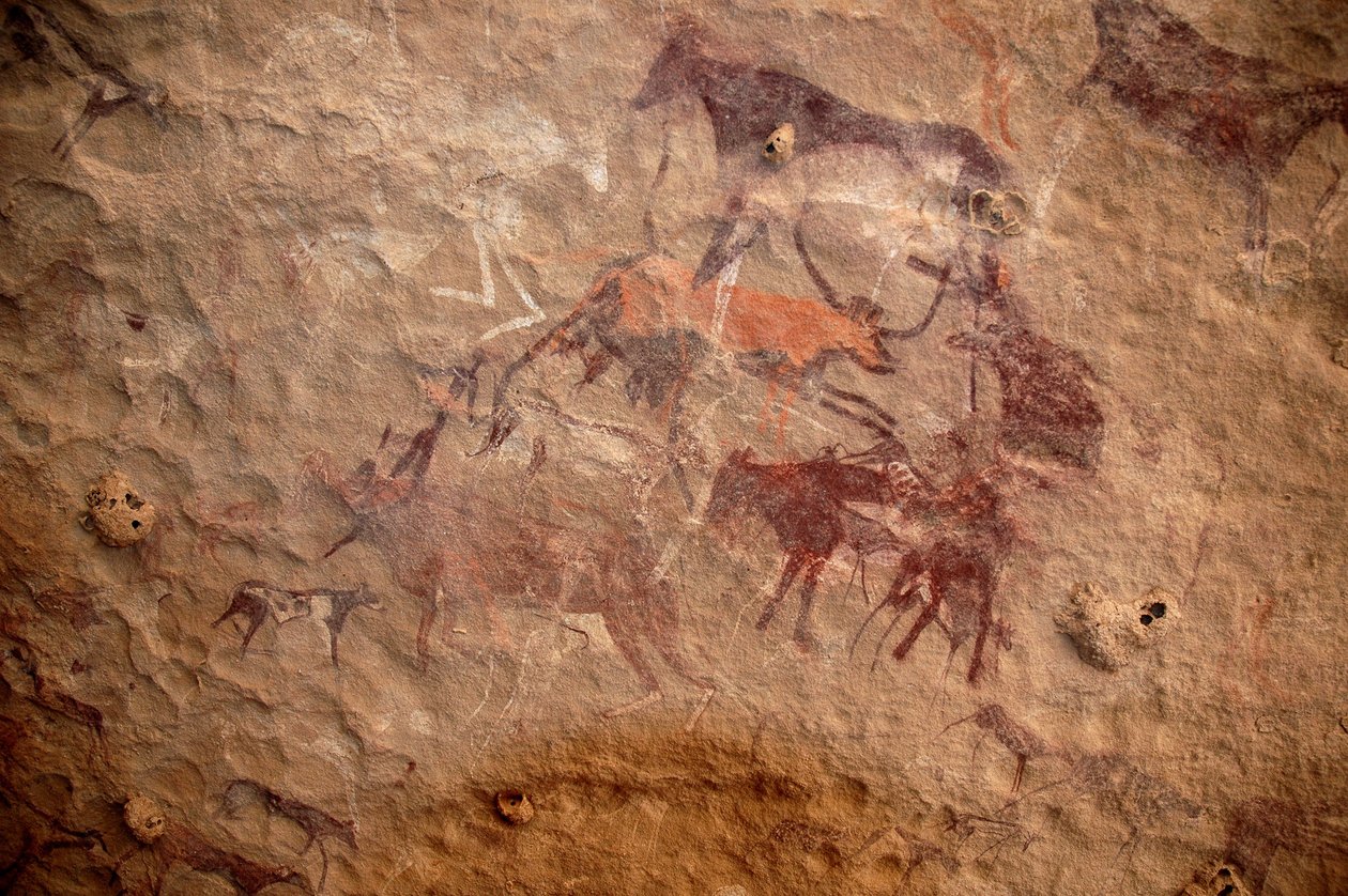 Hällkonst, förhistoria: Hällmålning av en grupp boskap och polykroma karaktärer (herdar och bågskyttar) i ett utsmyckat skydd, i Uweinat-massivet, Sudan. Period från 8000 till 3000 år f.Kr. Fotografi av Unbekannt