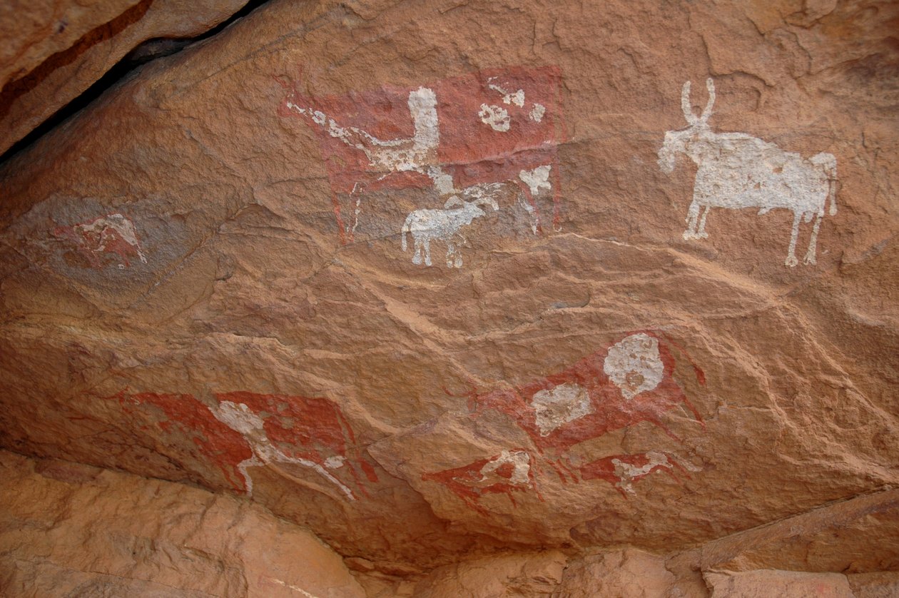 Hällkonst, förhistoria: Stenmålning av en grupp nötkreatur och får i ett utsmyckat skydd, i Uweinat-massivet, Sudan (Karkur-Talh eller Karkur Talh). Period från 8000 till 3000 år f.Kr. Fotografi av Unbekannt