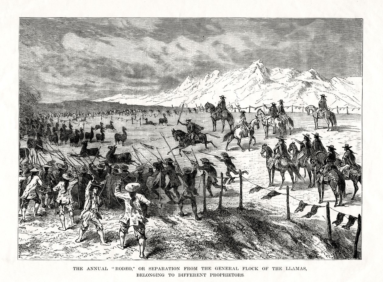 Rodeo, Sydamerika, 1877 av Unbekannt